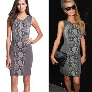 LN Diane Von Furstenberg Franca Gray & Black Snakeskin Bodycon Mini Dress - S